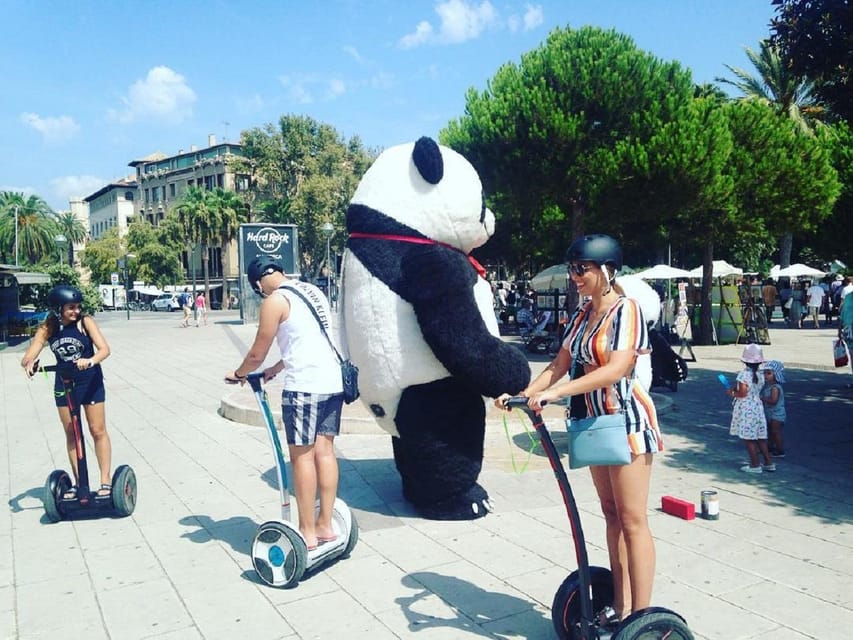 1 Hour Segway tour in Palma de Mallorca - So, Who Should Book This Tour?