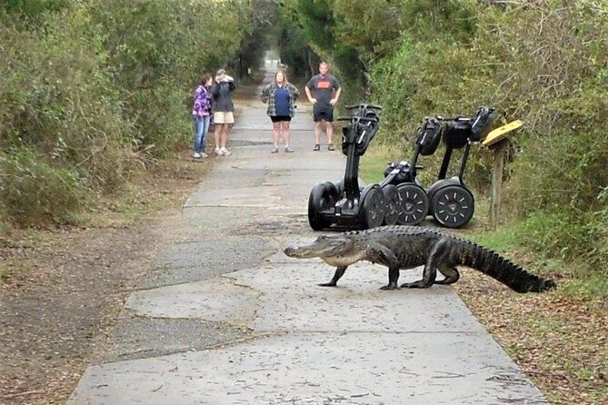 2-Hour Guided Segway Tour of Huntington Beach State Park in Myrtle Beach - Who Should Book This Tour (And Who Might Want Another Option)