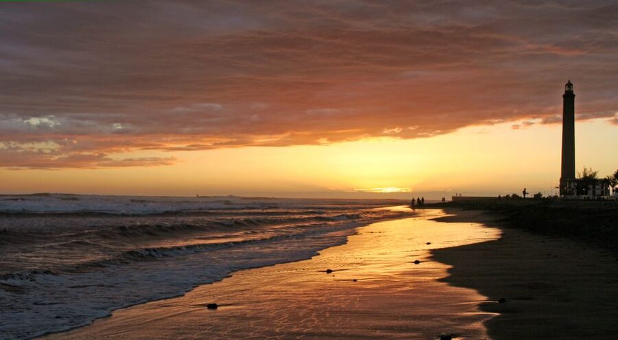 2-Hour Segway Tour: Maspalomas Dunes, Playa Ingles,S.Agustin - Guides, languages, and that small-group advantage