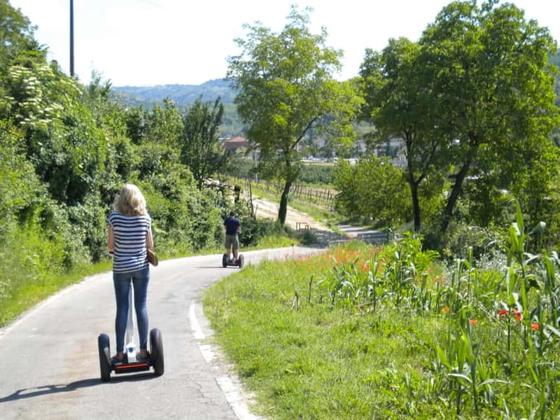 Alba: Guided Segway Tour through Langhe Hills and Vineyards - How the 2 Hours Feel: A Route With a Clear Arc