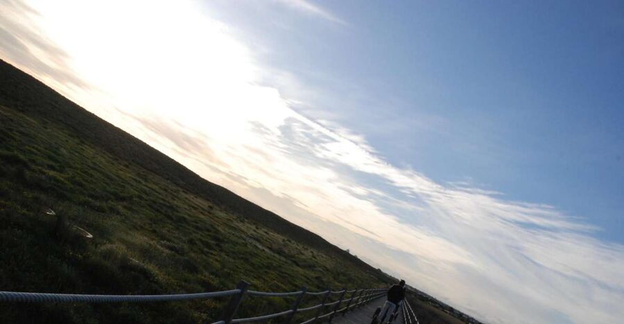 Albufeira: Salgados Nature Reserve Segway Tour - Wildlife spotting that’s actually doable: birds, nesting season, and sea breeze timing