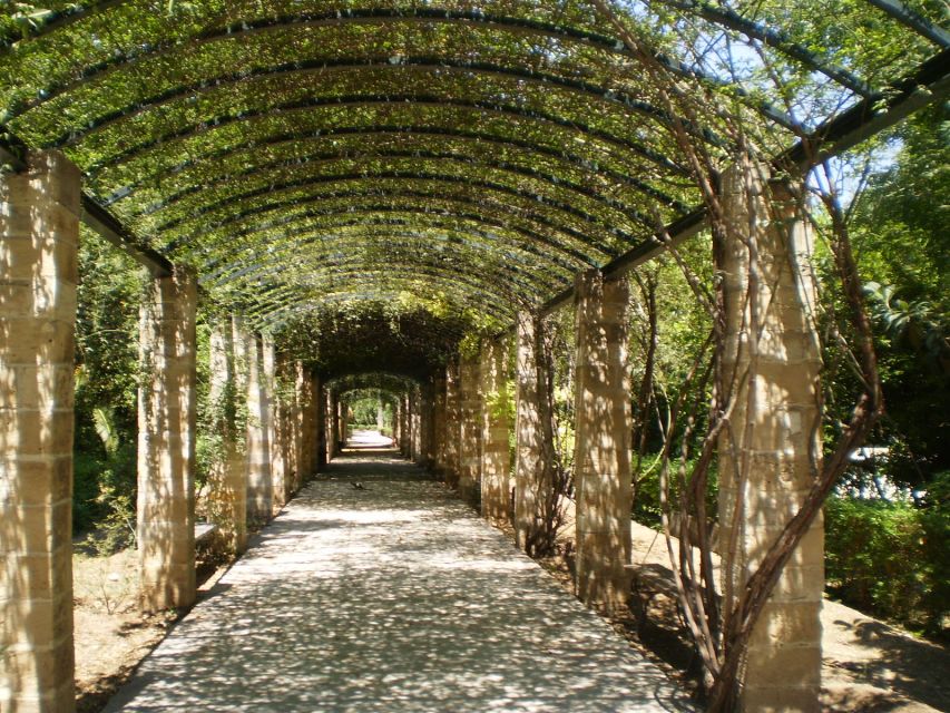 Athens: National Garden 2-Hour Segway Tour - Why a Segway Tour in Athens Makes Sense for 2 Hours