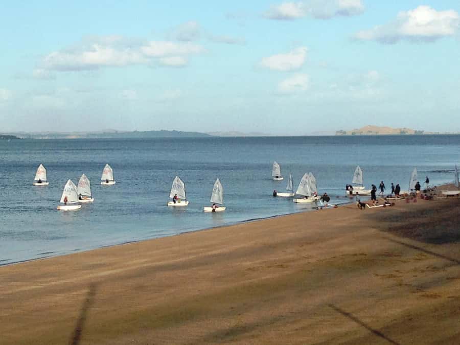 Auckland: Devonport Waterfront Segway - From gentle inclines to rough terrain, confidence grows