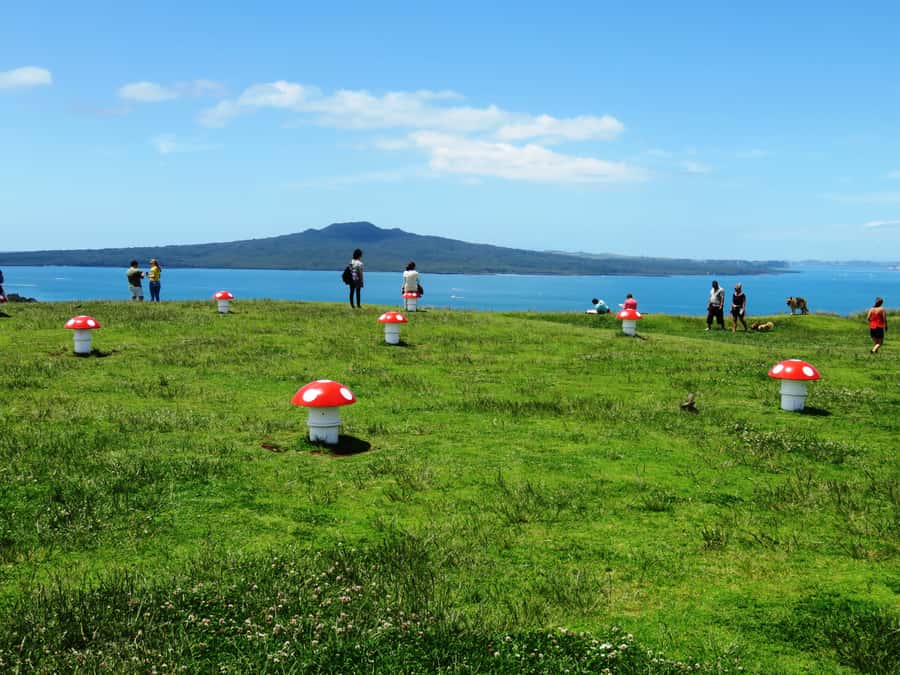 Auckland: Segway Tour to Mount Victoria - The Segway lesson that makes uphill feel manageable