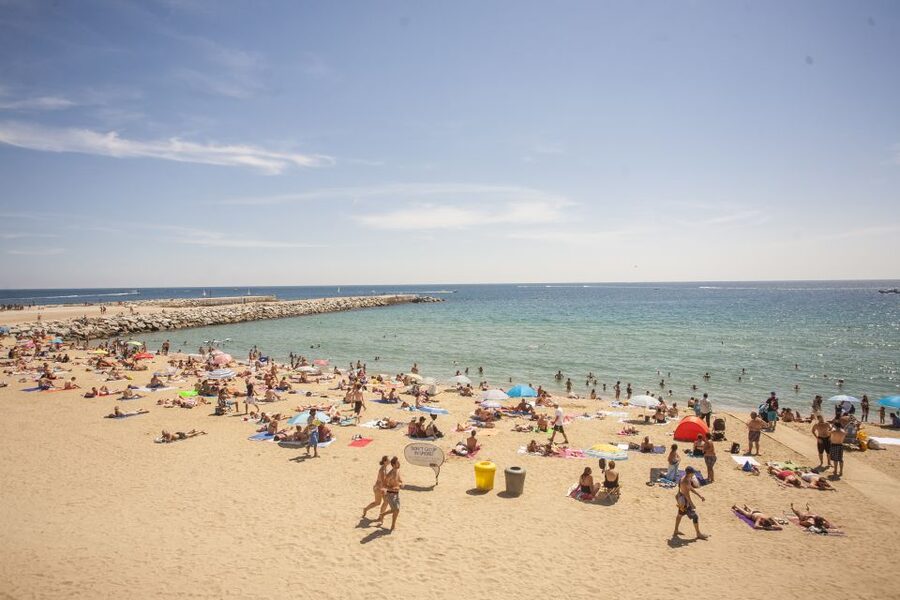 Barcelona: 2-Hour City Sights Guided Segway Tour - Barceloneta and the seafront glide: Mediterranean air, photo stops, and easy pacing