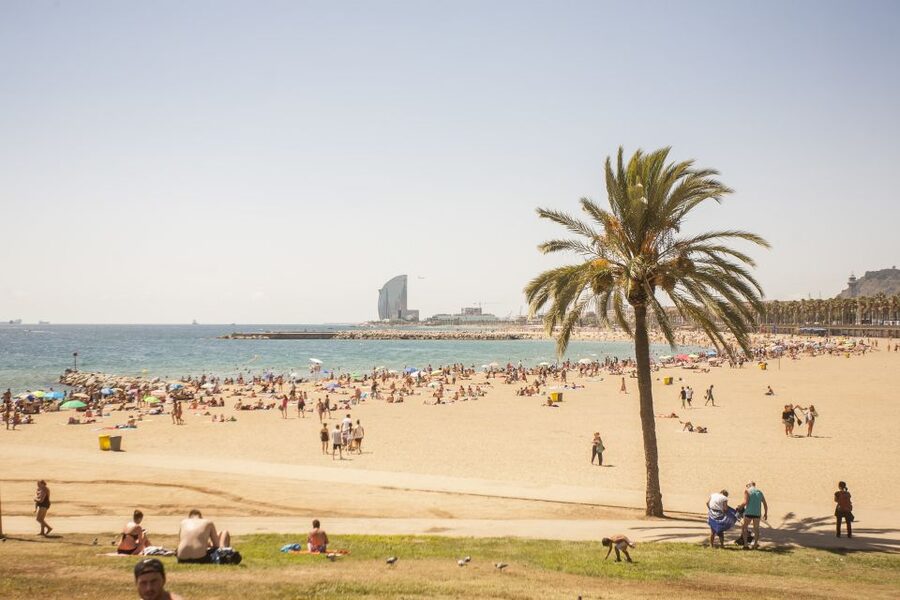 Barcelona: 3-Hour Segway Sightseeing Tour - Who should book this Segway tour (and who should skip it)