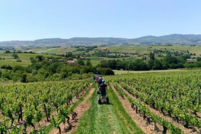 Beaujolais Segway Tour with Wine Tasting - Beaujolais by Segway: vineyard views with minimal leg work
