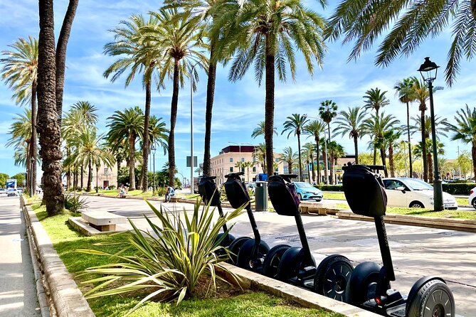 Evening 2 hour Segway Tour of Palma - Should you book the Evening 2-Hour Segway Tour of Palma?