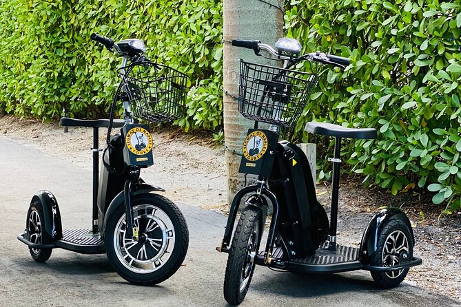 Explore Naples on a Guided Segway Tour - Naples Pier area and Palm Cottage (1895): historic sights without the museum time
