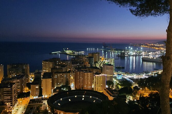 Gibralfaro Castle, Port & Bullring Segway Tour in Málaga - Should You Book This Tour?