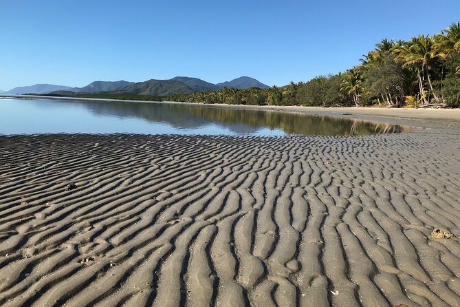 Guided Eco Segway Tours Four Mile Beach Port Douglas - Price and value: what $99.70 really covers