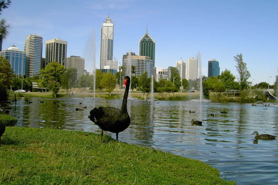 Perth Riverside Segway Tour - Training and safety: how you get comfortable fast