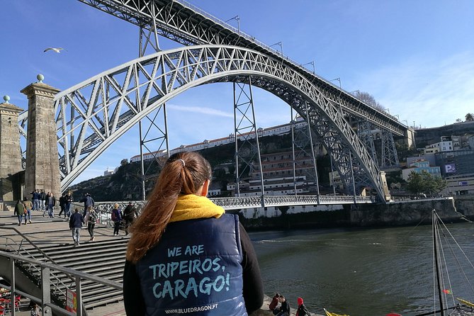 Porto: 2-Hour City Highlights Segway Tour - Guided Experience - How the ride flows: from the Cathedral area to river panoramas