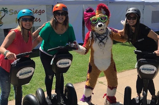 Private Segway Experience Through La Jolla - Sea Lions and Pool Views: Making Sense of the Waterline