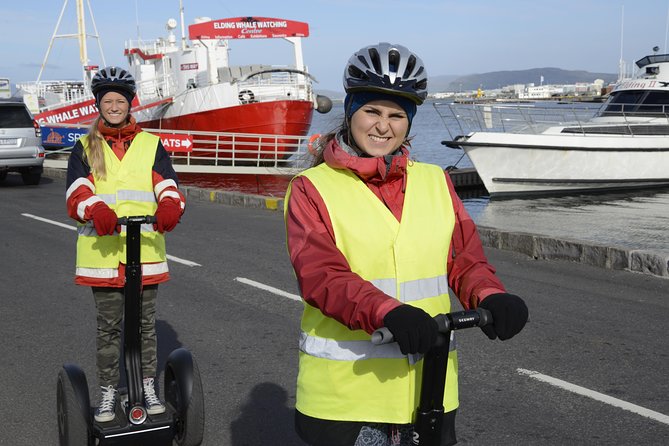 Reykjavik Segway Tour - Price: Is $195 Worth It for Two Hours?