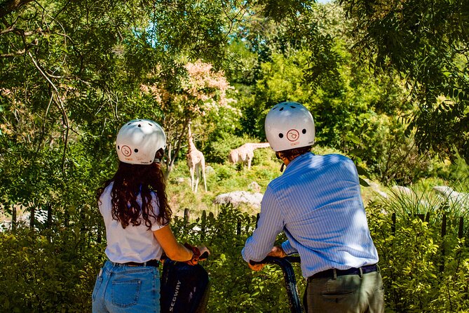 Segway Tour by ComhiC - Tête d'Or Park - 2h - Starting at 7 Quai Romain Rolland: learning your Segway the right way