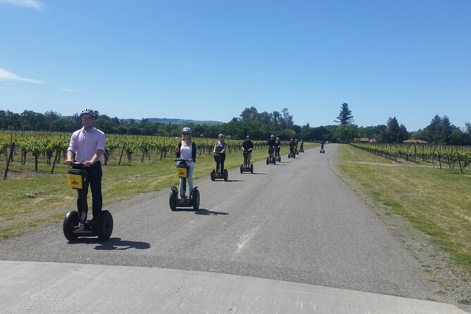 Sonoma County Wine Segway Tour - Buena Vista Winery: classic Sonoma plus your lunch