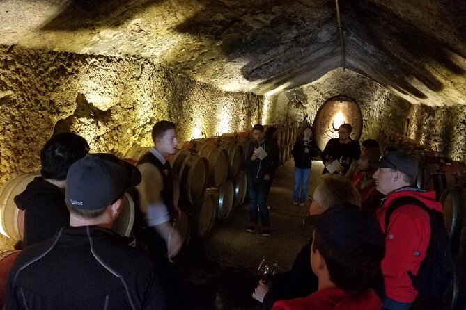 Sonoma County Wine Segway Tour - Wine tastings: plan extra time and a little extra money
