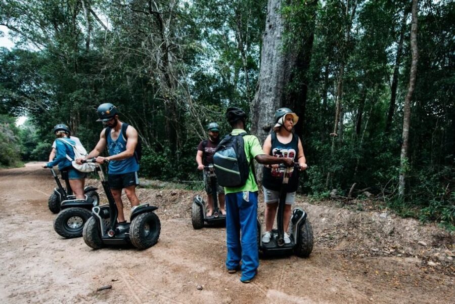 Tsitsikamma National Park: 1 or 2-Hour Segway Tour - Quick hits: what makes this Segway tour worth your time