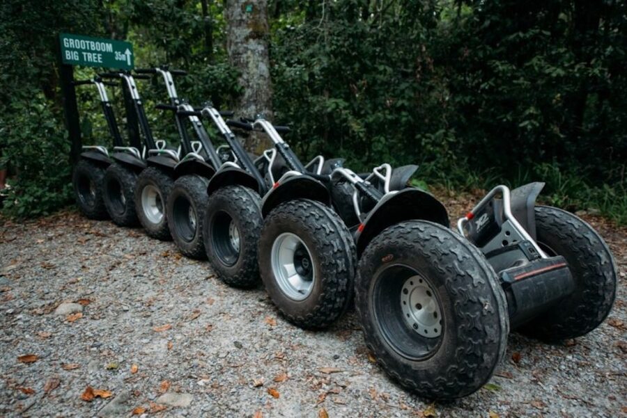 Tsitsikamma National Park: 1 or 2-Hour Segway Tour - Why Tsitsikamma National Park on a Segway works so well