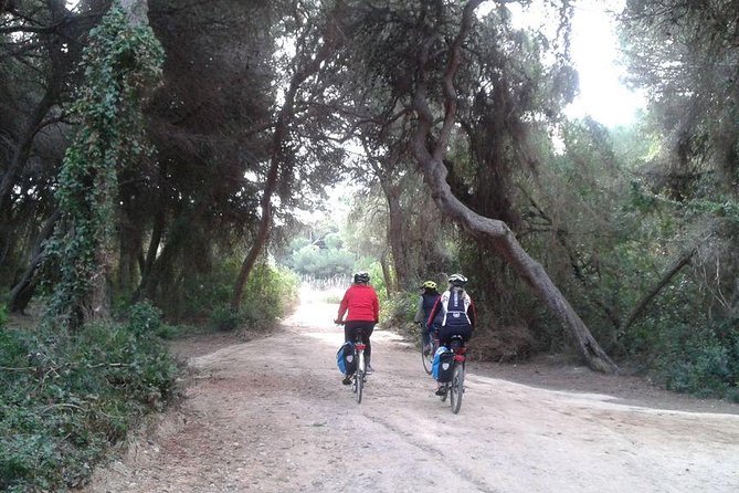 Valencia Bike or Segway Tour - Bike or Segway for Valencia: why this works in half a day