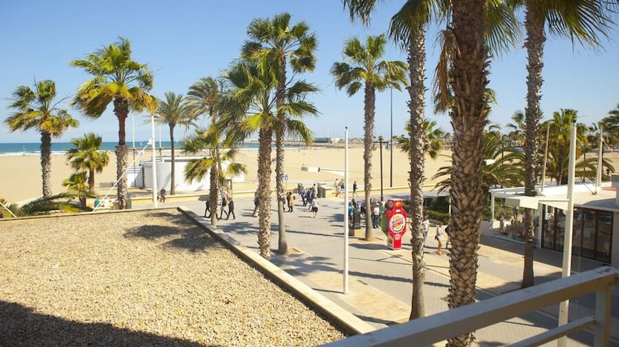 Valencia: Fantastic Segway Tour from the Center to the Beach - The Turia Gardens section: riding Valencia’s former riverbed