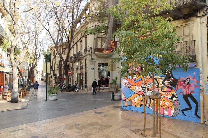 Valencia Street Art | Private Tour by Bike or Electric Ride - Private and flexible: pacing beats rushing