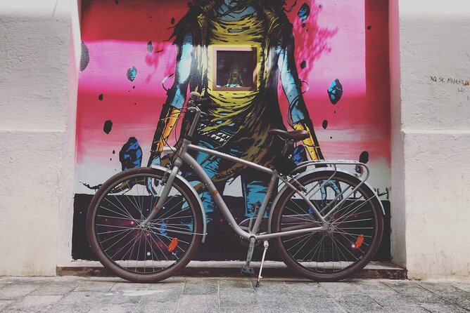 Valencia Street Art | Private Tour by Bike or Electric Ride - English tour experience: good for first-timers, solid for repeat visitors