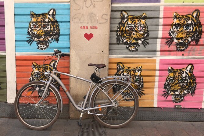 Valencia Street Art | Private Tour by Bike or Electric Ride - Price and value: is $72.01 a good deal?