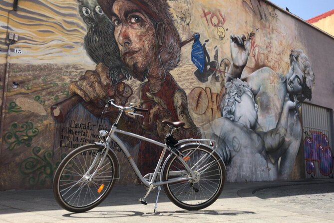 Valencia Street Art | Private Tour by Bike or Electric Ride - Meet the guides: why the stories matter as much as the art