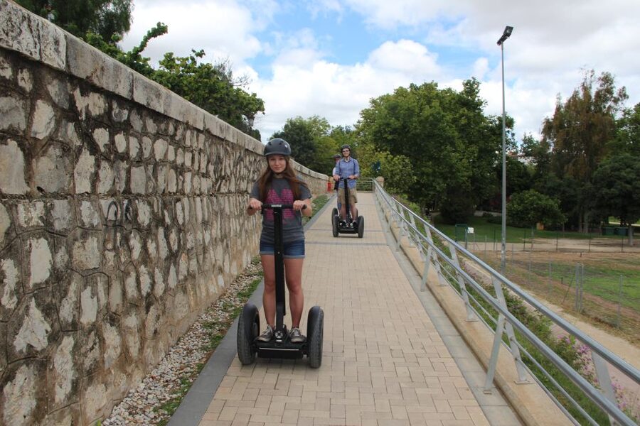 Valencia: Turia Park Segway Tour - Alameda Bridge: a modern sight that still fits the route