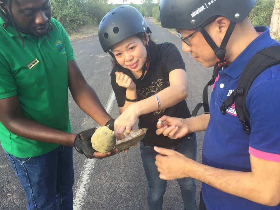 Victoria Falls: Segway Tour - Entering the Segway: training, safety, and why the first minutes matter