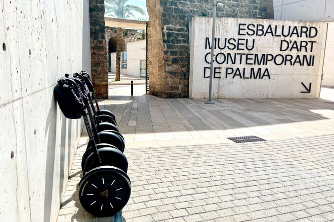 VIP Private Segway Tour of Palma - La Almudaina and Plaça Cort: royal Palma and a famous tree spot